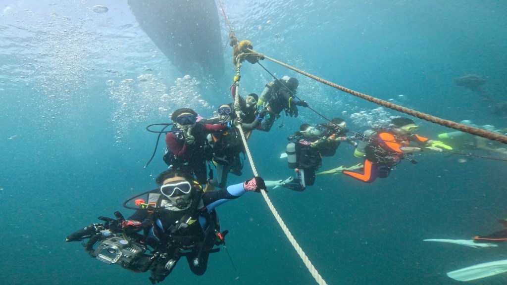 本日は、FUNDIVE２チーム・体験ダイビング