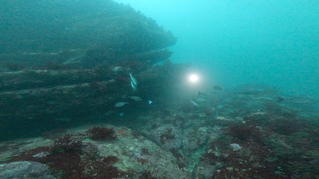 FUNDIVE 1ビーチ1ボート　2ビーチ