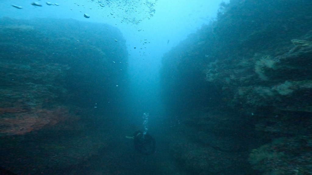 FUNDIVE・2ボート