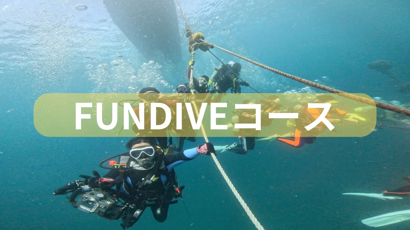 FUN DIVE – 千葉県勝浦市の海でスキューバダイビング DUCK DIVE