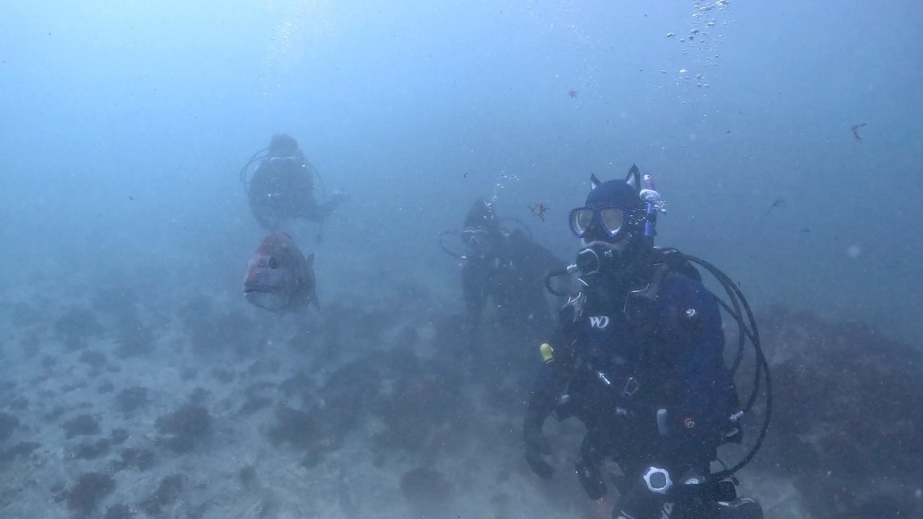 勝浦鵜原2ビーチ