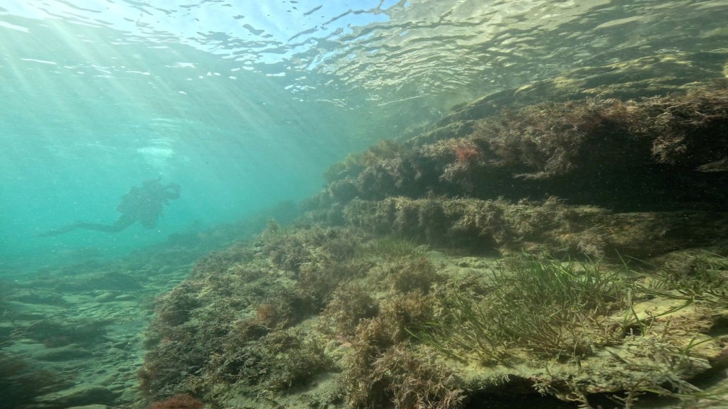 勝浦鵜原2ビーチ