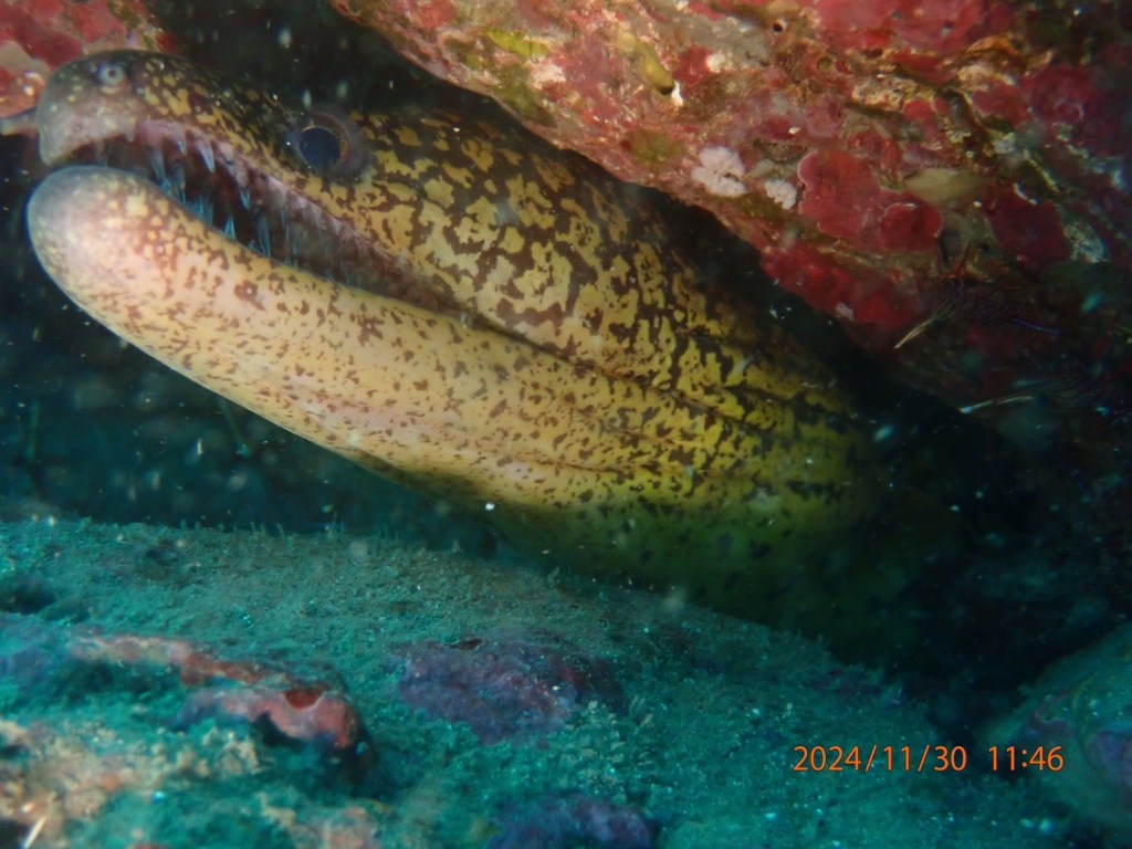 行川2プチボート