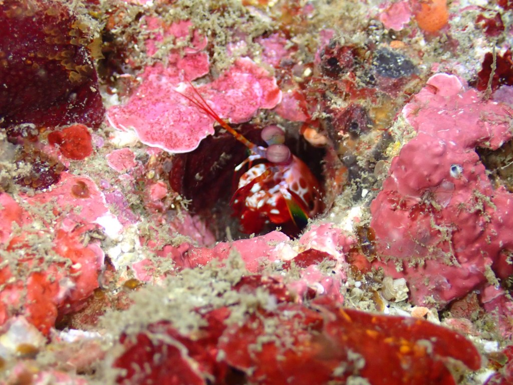 勝浦鵜原1ビーチ1ボート