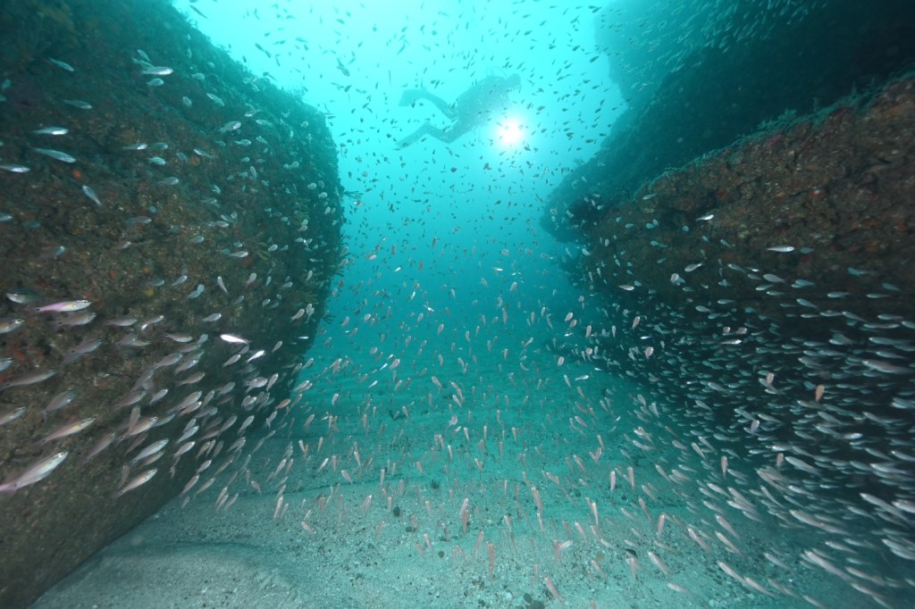 勝浦鵜原1ビーチ2ボート