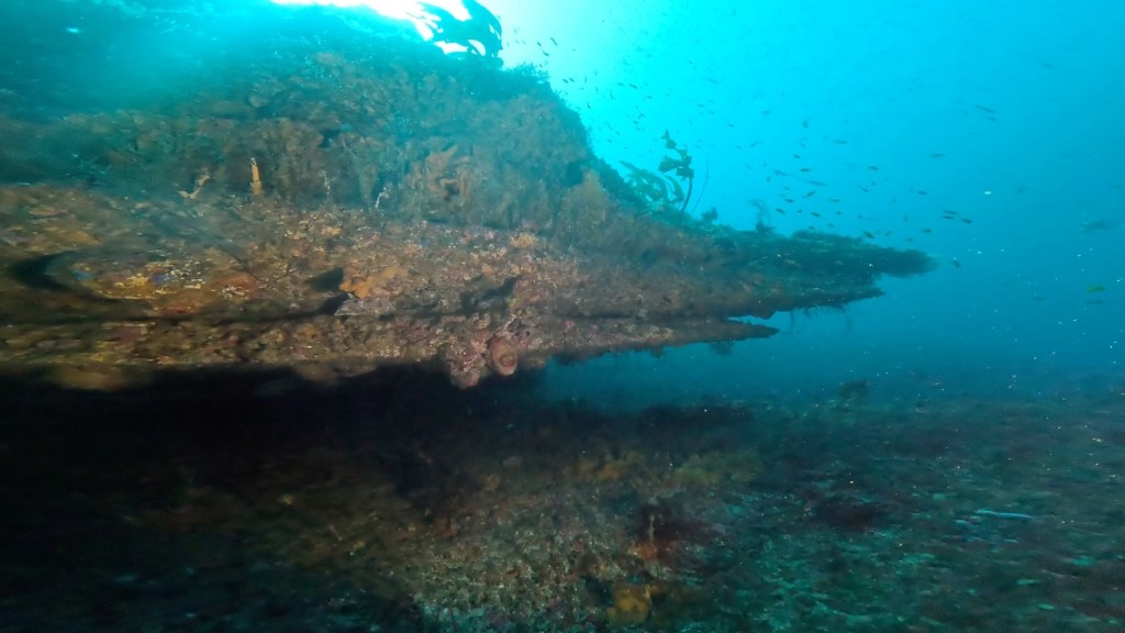 勝浦鵜原2ボート.EFR講習.RED講習