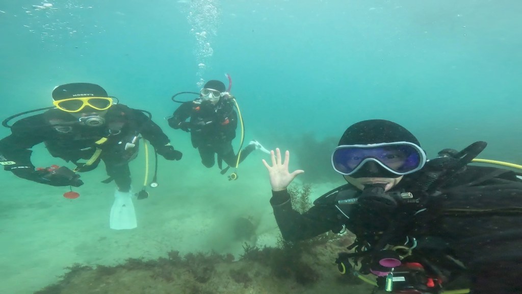 潜り納めでした。