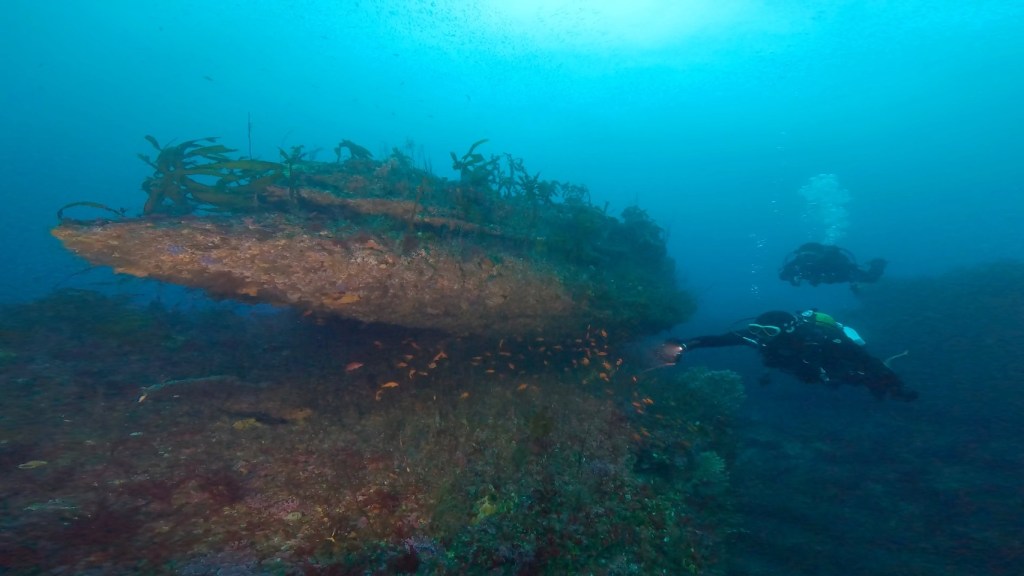 勝浦鵜原2ボート2ビーチ