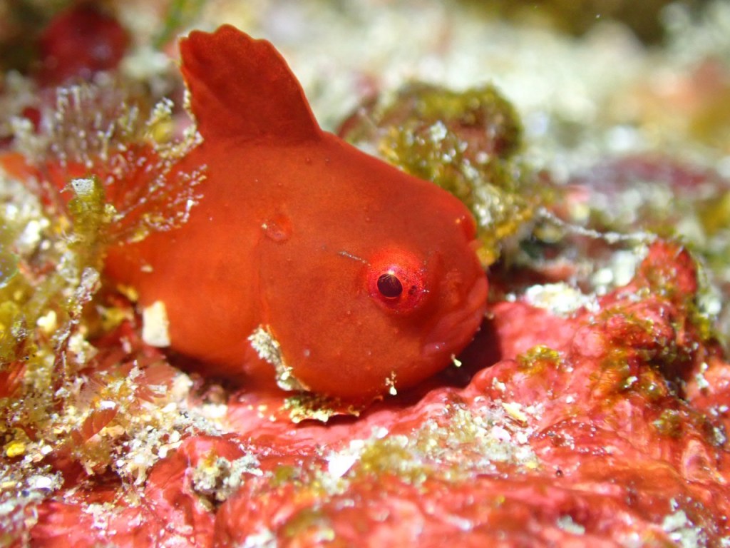 ボート、ビーチと行ってきました