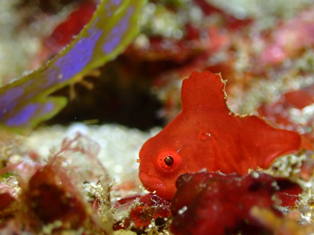 ポカポカ陽気と。