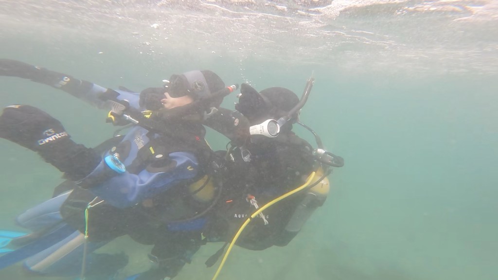 スキルの１日でした