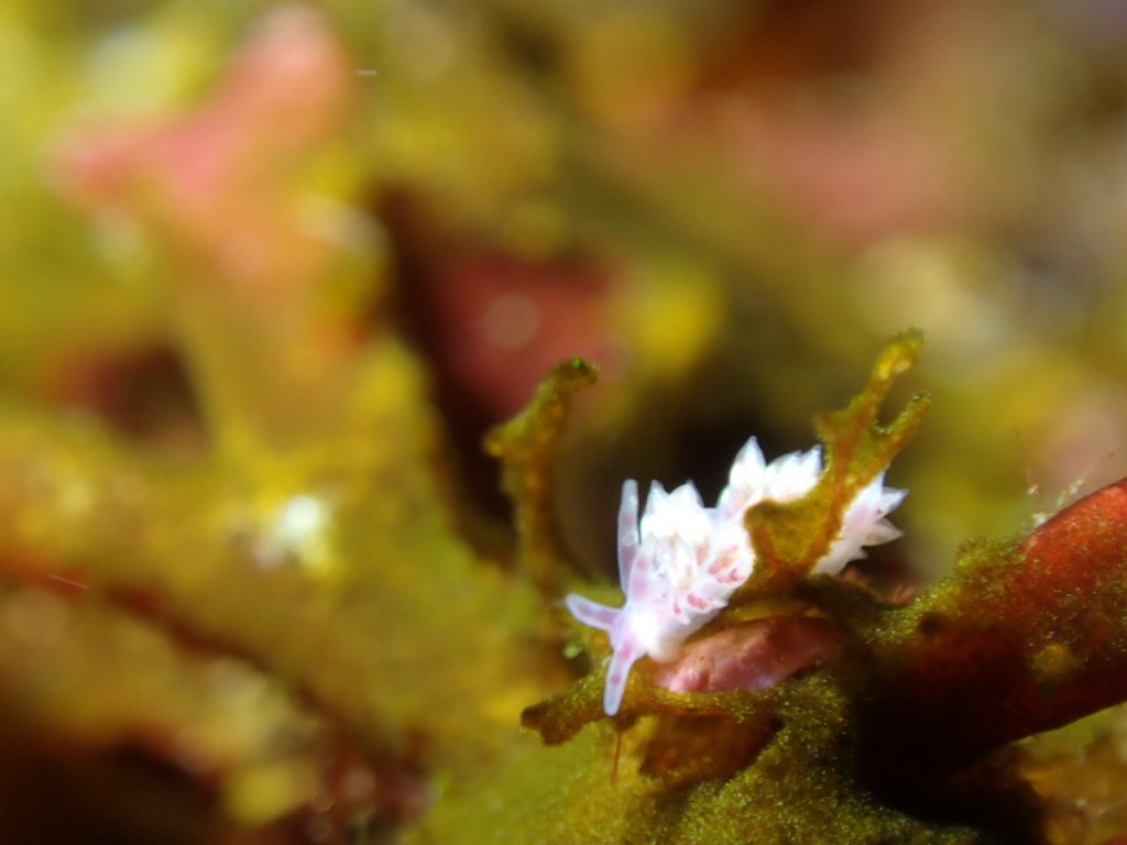日曜日のんびりです。