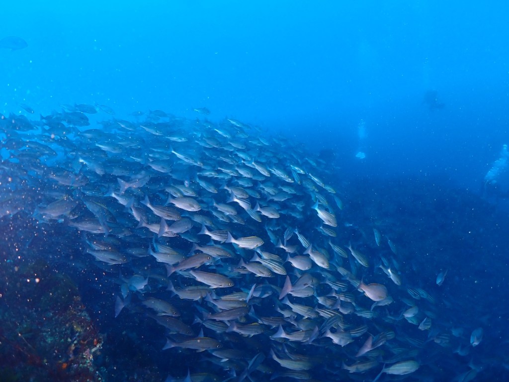 ワイド狙いでした。