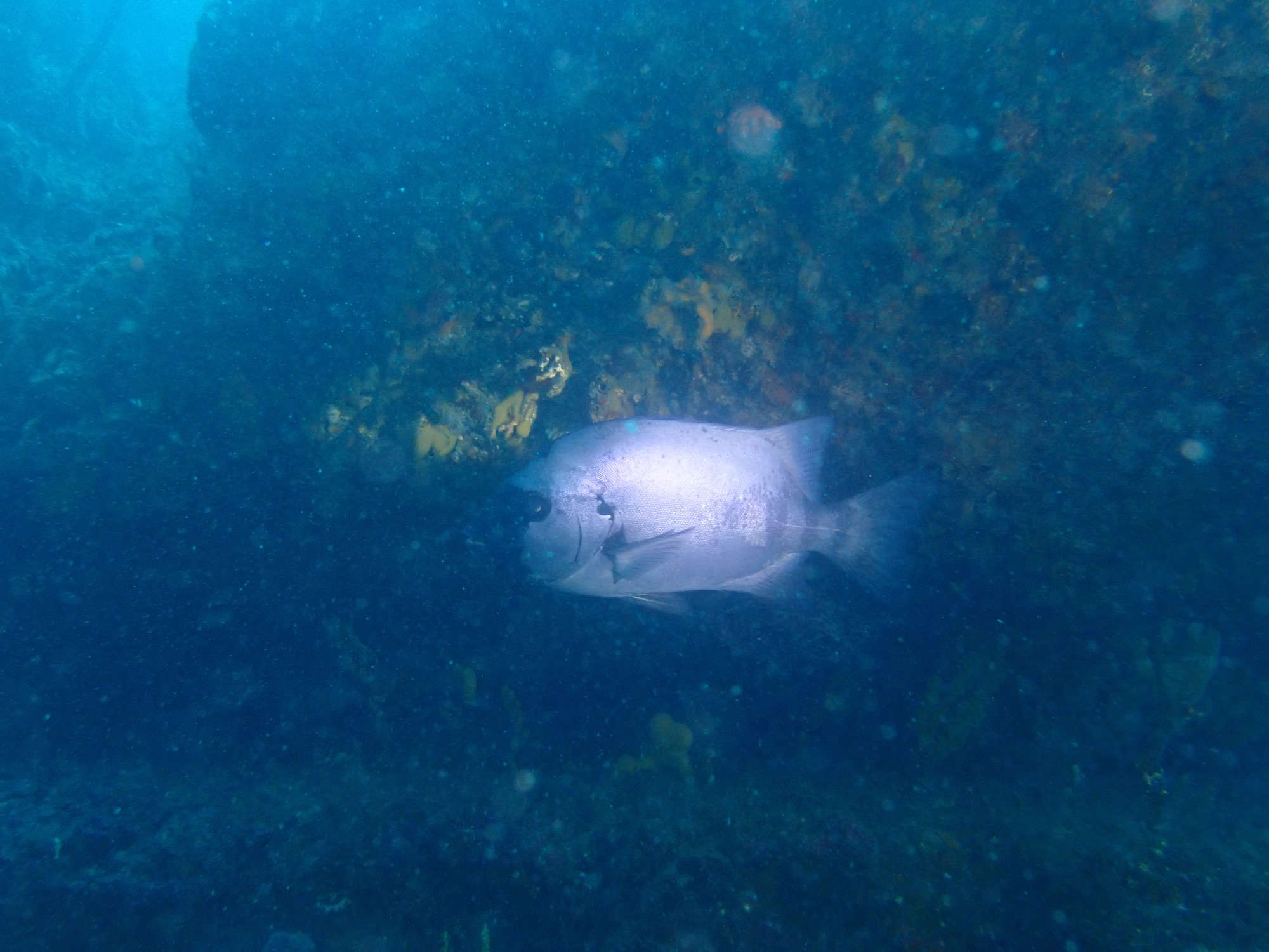 良い天気に恵まれました。