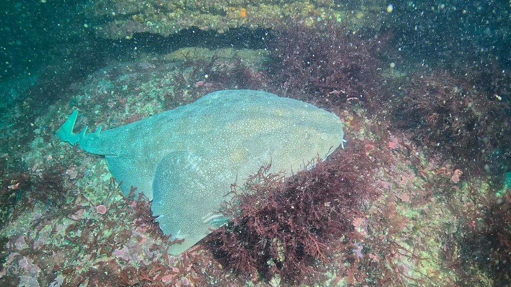 潜ってその後。