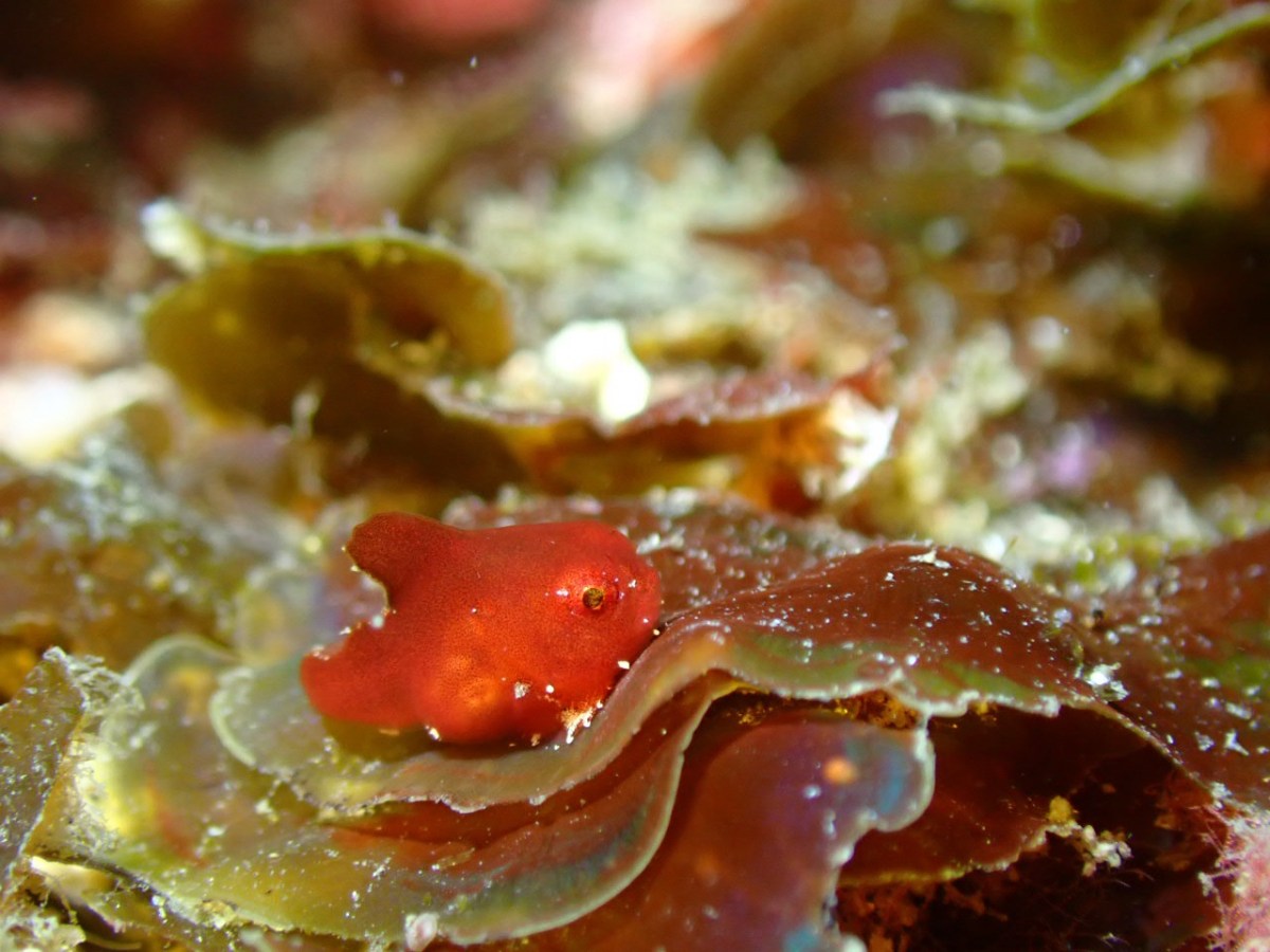 ４月のはじまり。