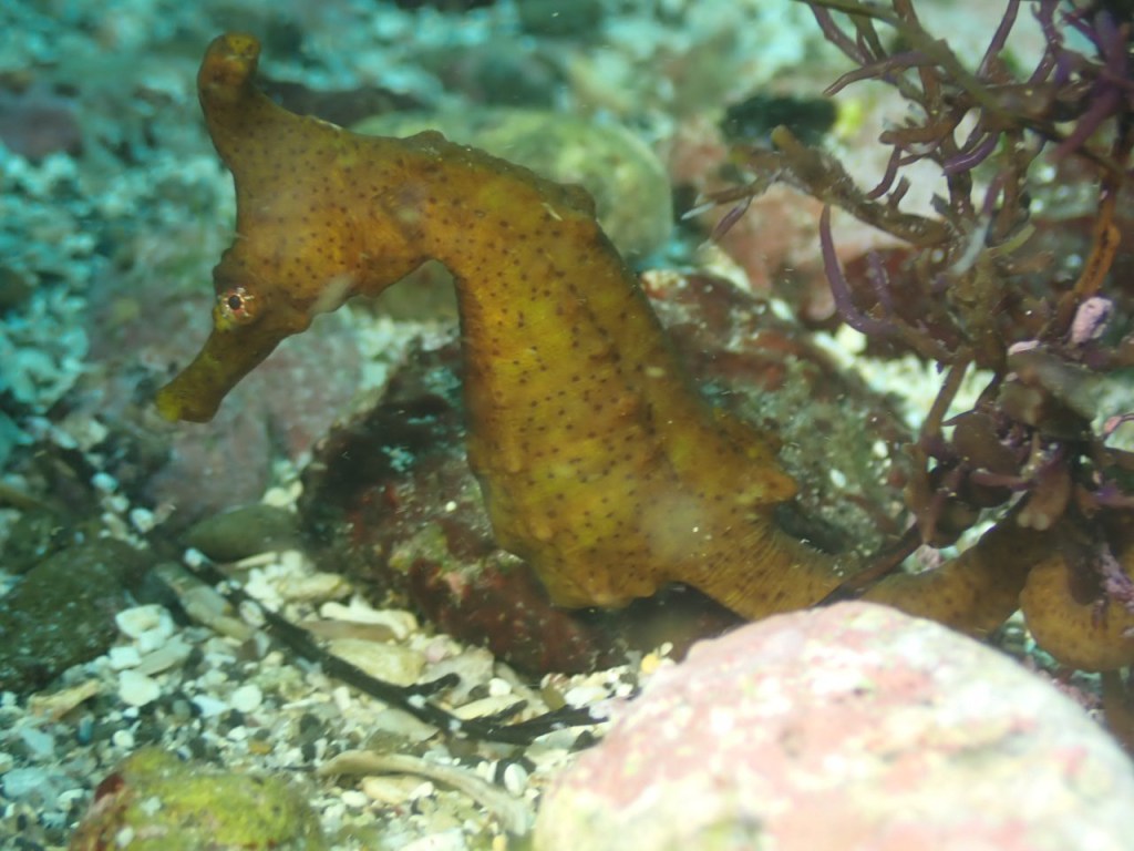 ゆっくり潜ってきました。