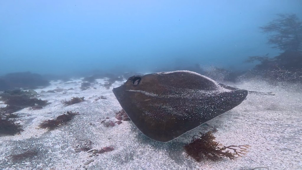 午前、午後と動いてきました。