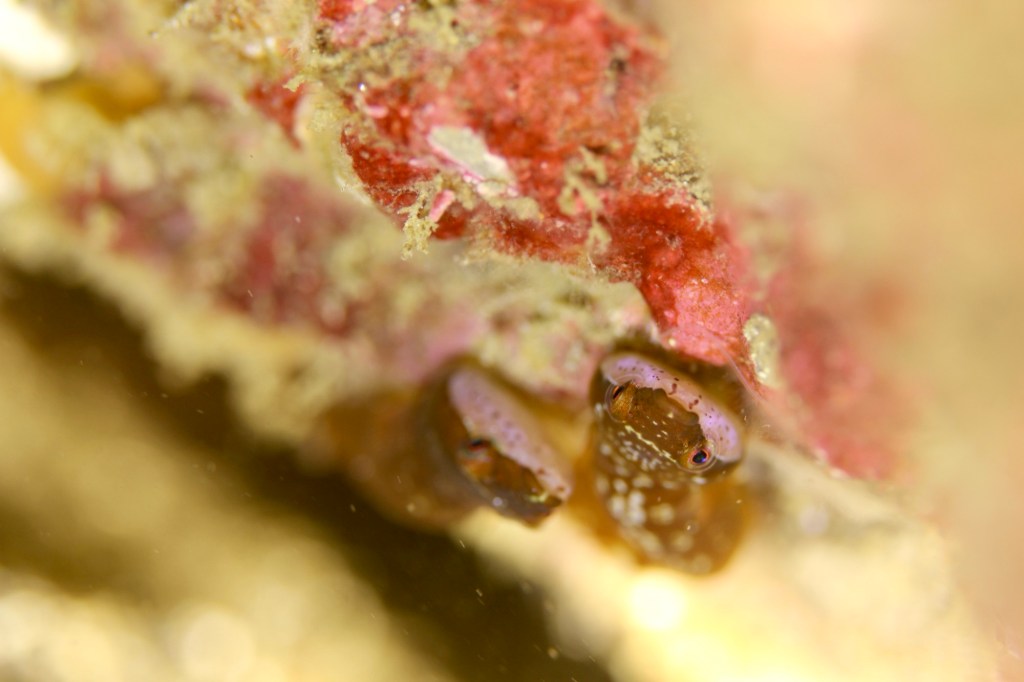 ビーチ行ってきました。