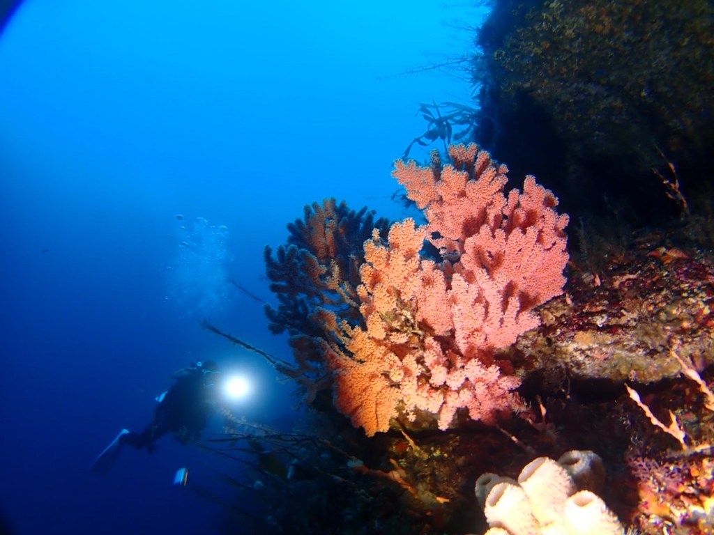 器材のお話でした。