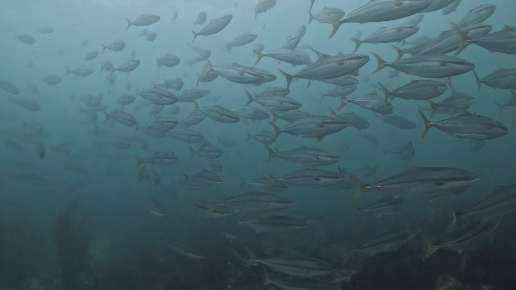 ビーチ大当たり！