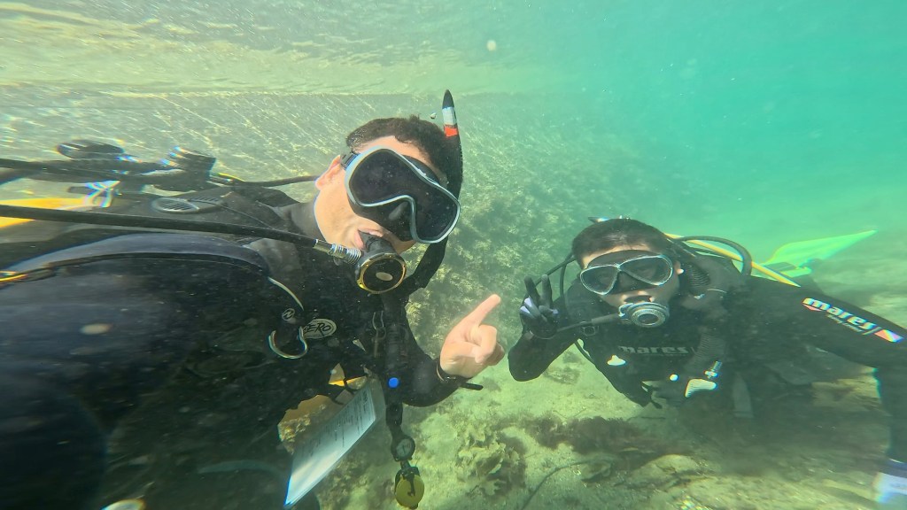 ライセンス取得コースでした。