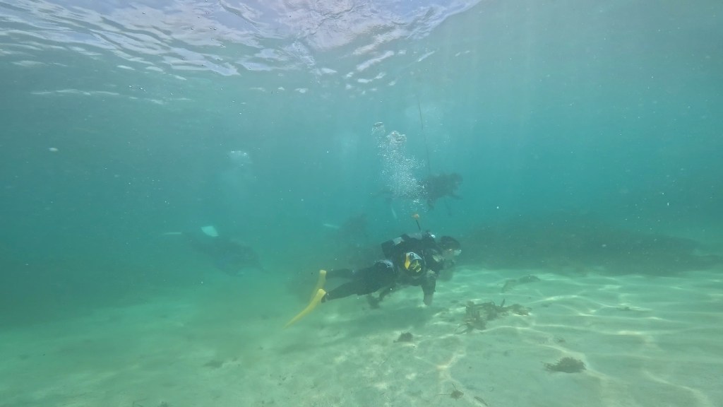 FUNDIVE、ライセンス取得講習、体験ダイビングでした