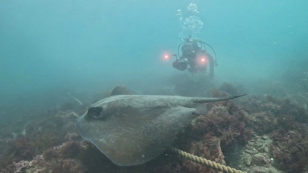 FUNDIVE1ビーチ1ボート.体験ダイビング.シュノーケリングでした。