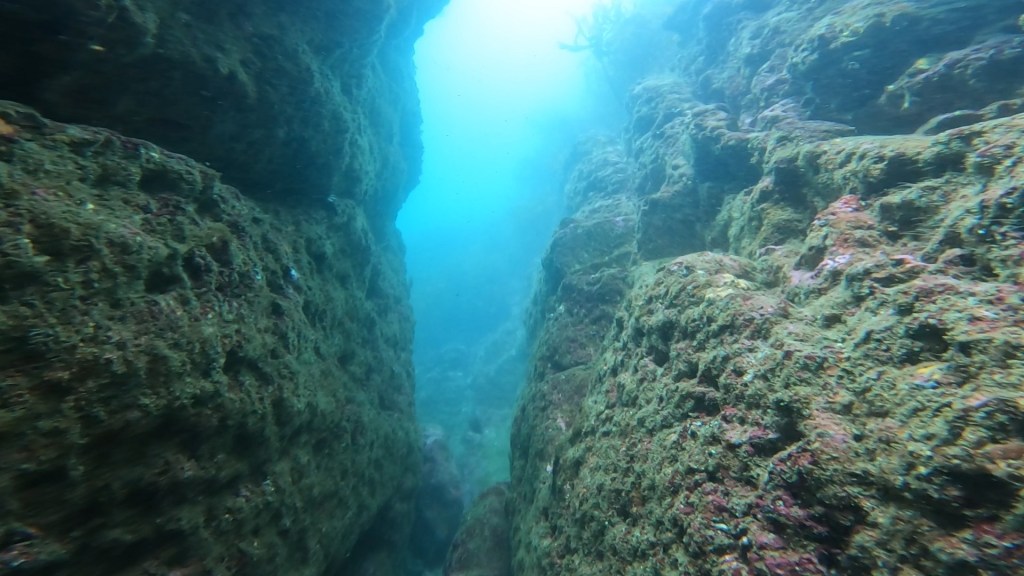 クローズ３日目