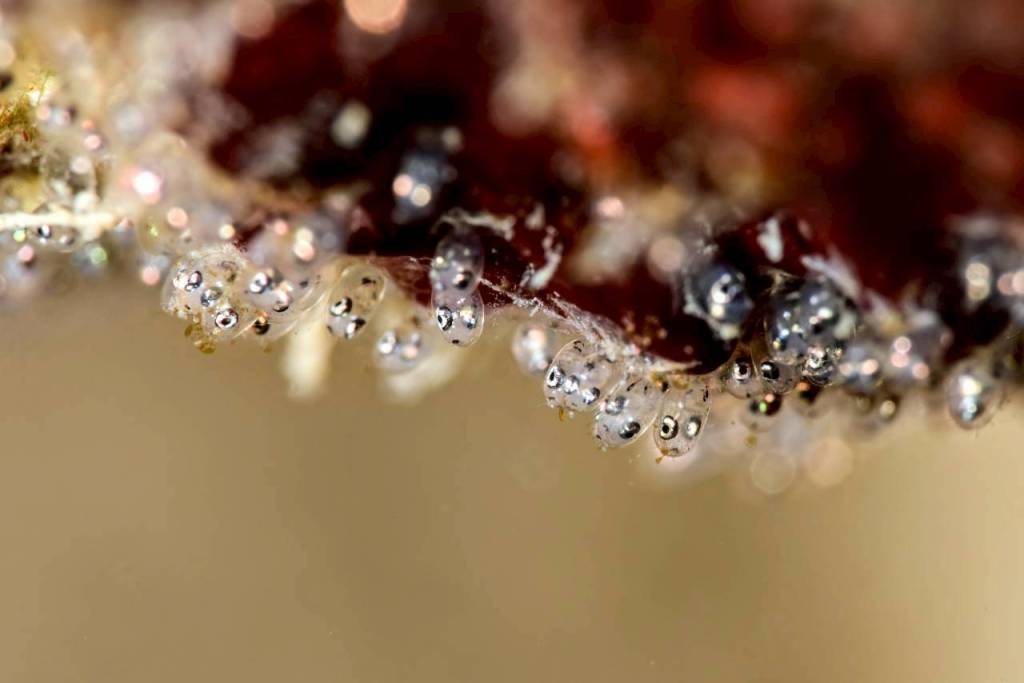 ライセンス取得コース、FUNDIVEコースでした。