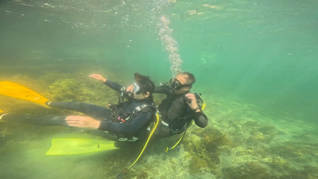 レスキュー講習でした。