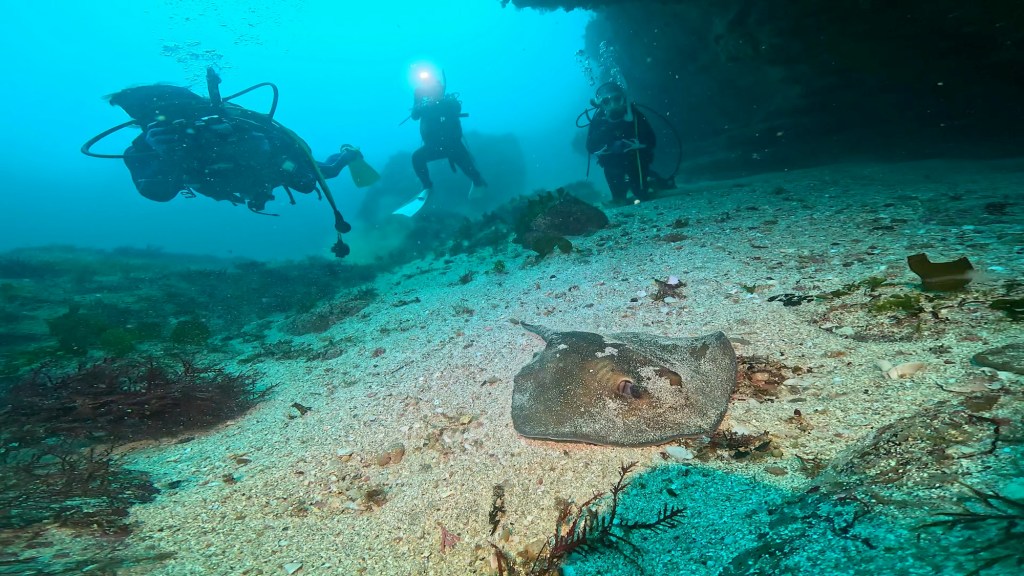 FUNDIVE.アドバンスコース.体験ダイビング