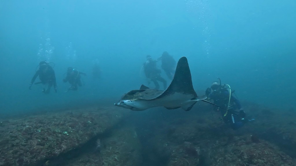 FUNDIVE/体験ダイビングでした。
