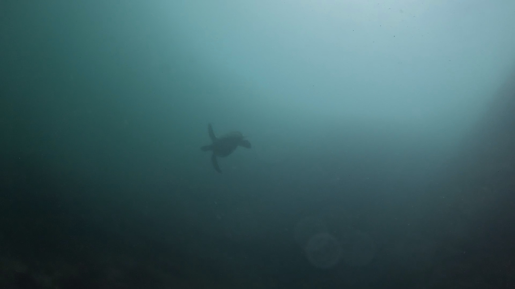 FUNDIVEコース。