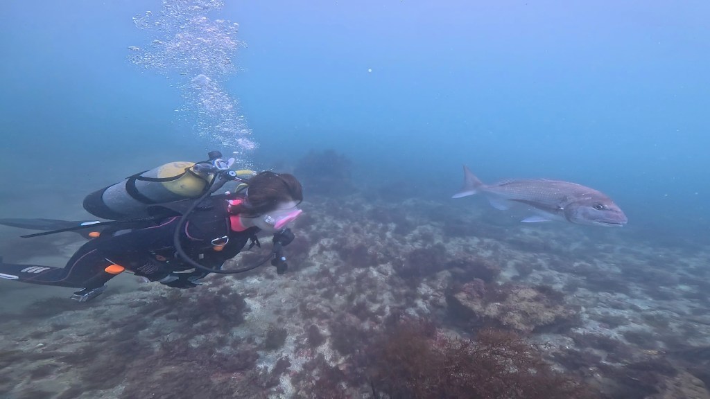 アドバンスコース