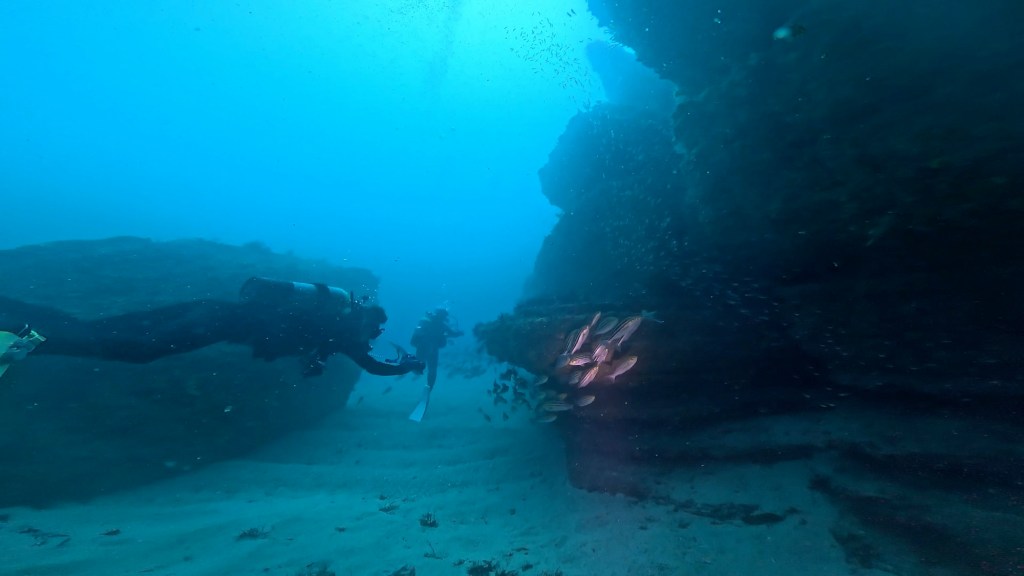 FUNDIVEコース、アドバンスコース、ライセンス取得コース。