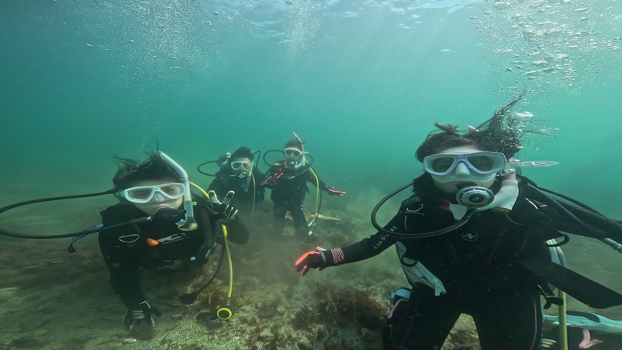 FUNDIVEコース.体験ダイビングでした。