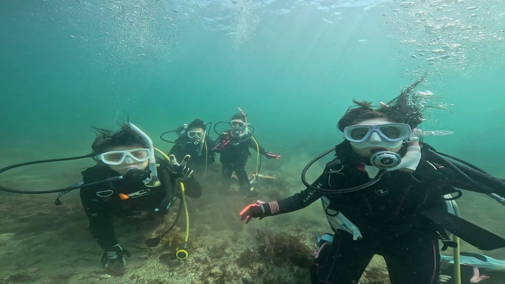 FUNDIVEコース.体験ダイビングでした。