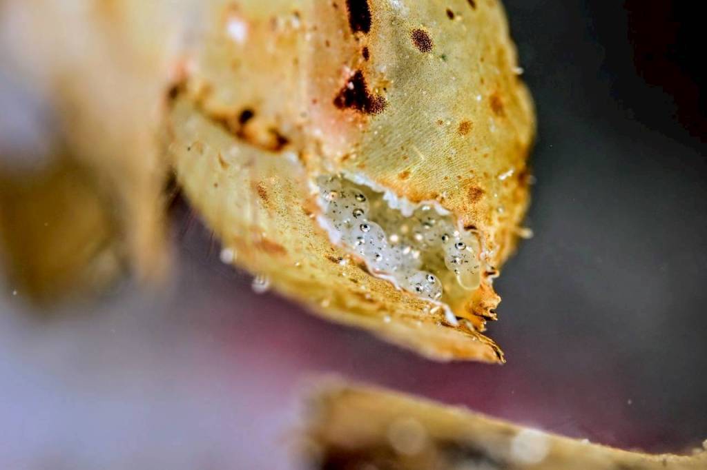 2025.10.21 FUNDIVEコース