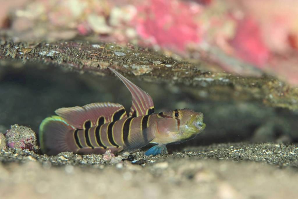 2025.10.29 FUNDIVEコース