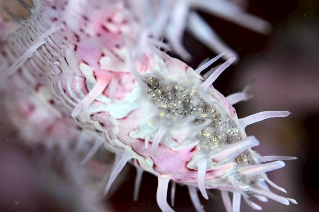 2025.10.30 FUNDIVEコース