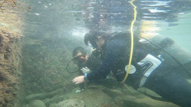 FUNDIVEコースと体験ダイビング