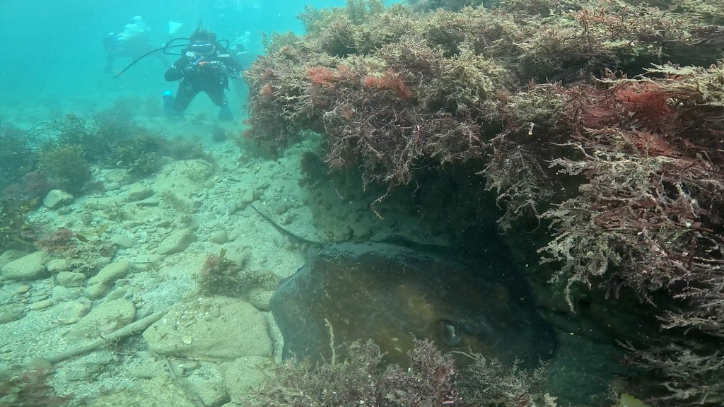 FUNDIVEコース2025.10.20