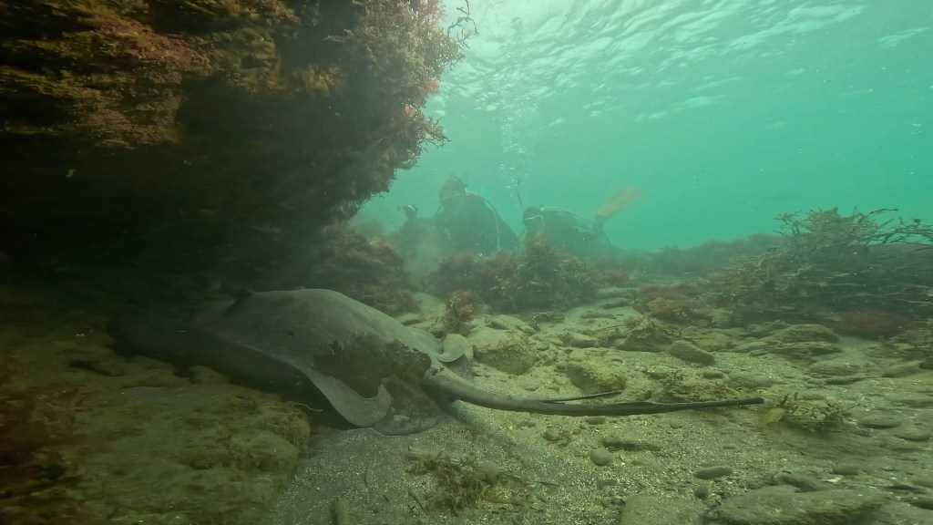 2025.10.31 FUNDIVEコース