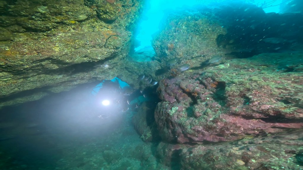 2025.10.26 FUNDIVEコース