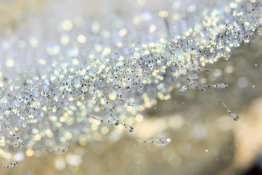 11.20 FUNDIVEコース　ハッチアウトシーン