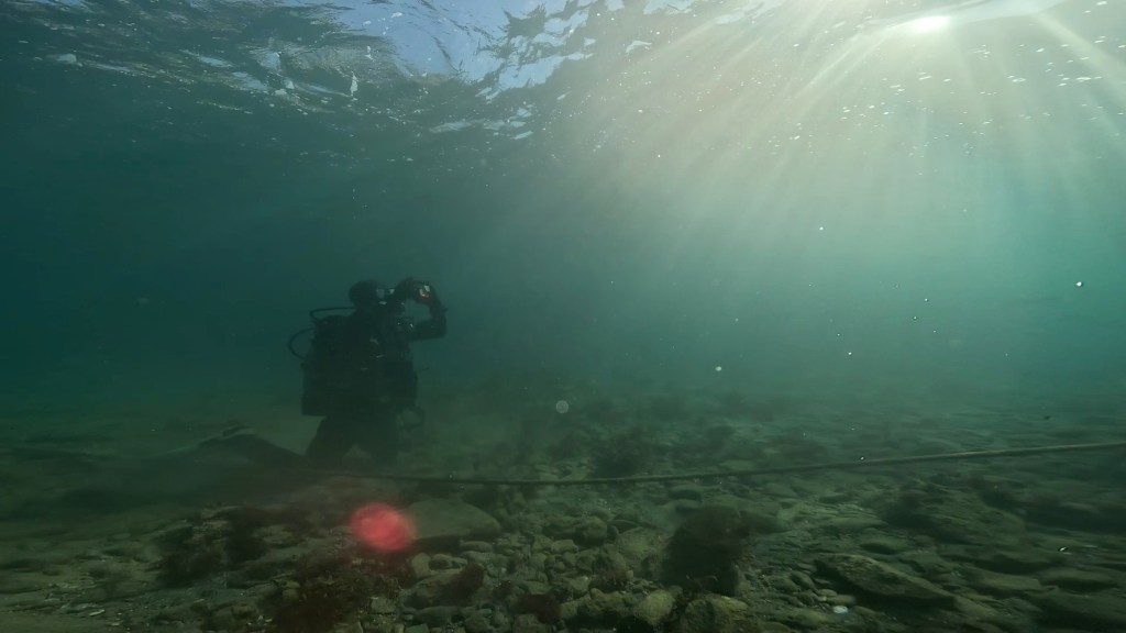 11.24 FUNDIVEコース