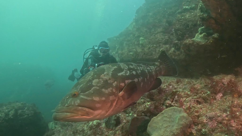 2025.11.7 FUNDIVEコース