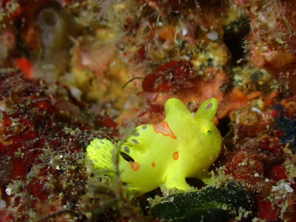 2025.11.2 FUNDIVEコース