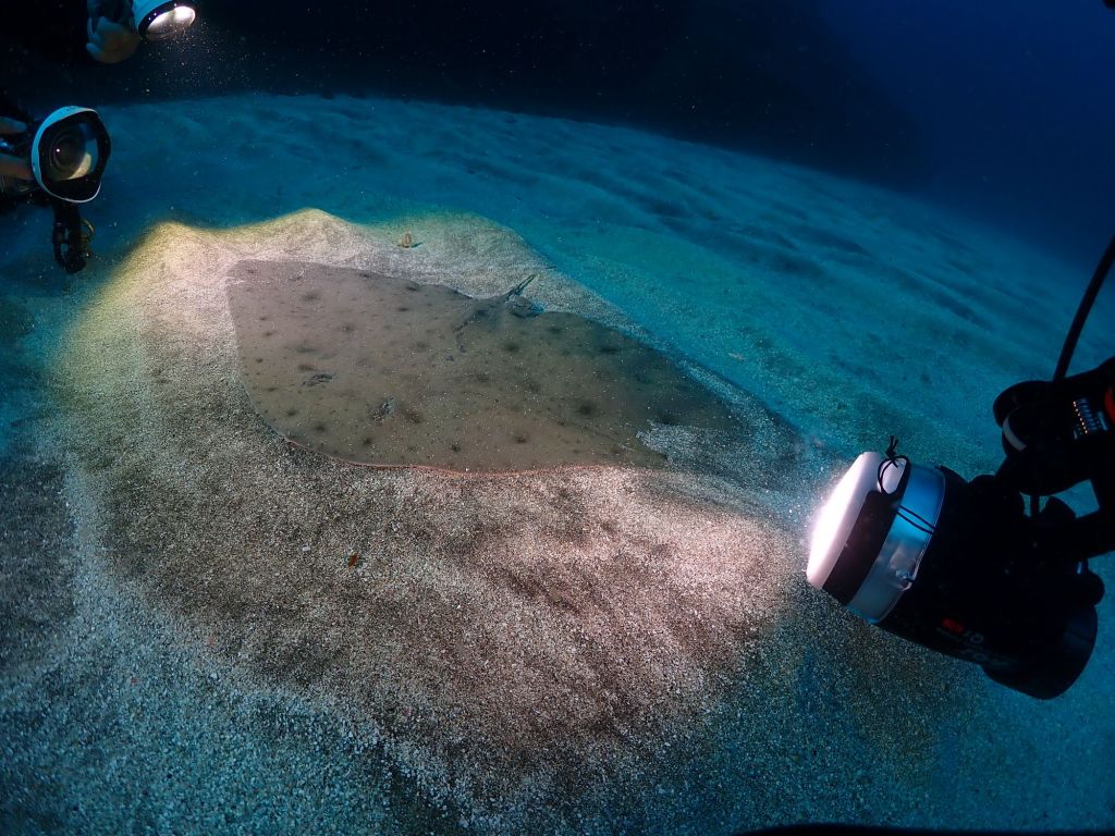 11.22 FUNDIVEコース　ライセンス取得コース